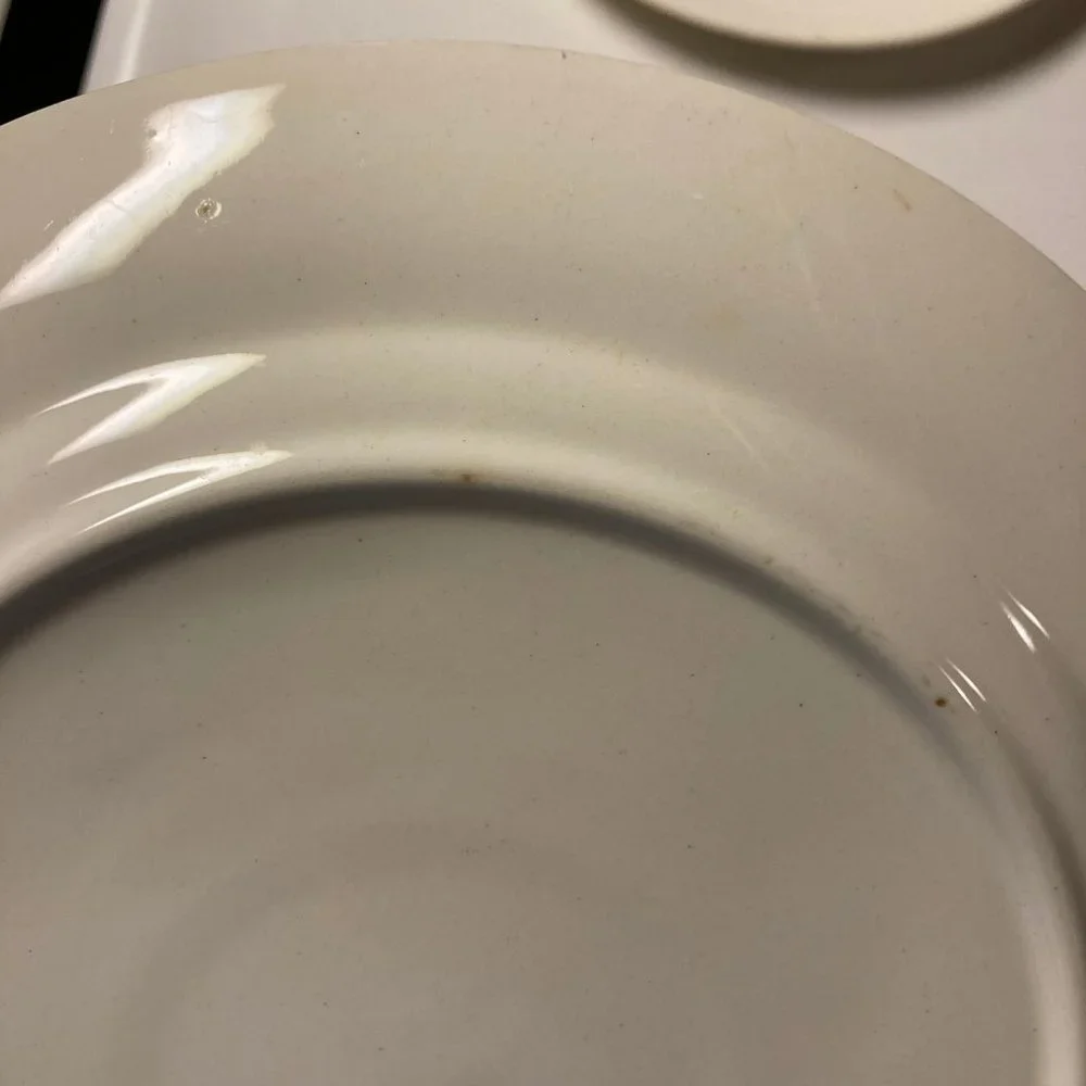 Vintage Dinner Plates (2) 9 Inches with Pink & Blue Flowers / Roses